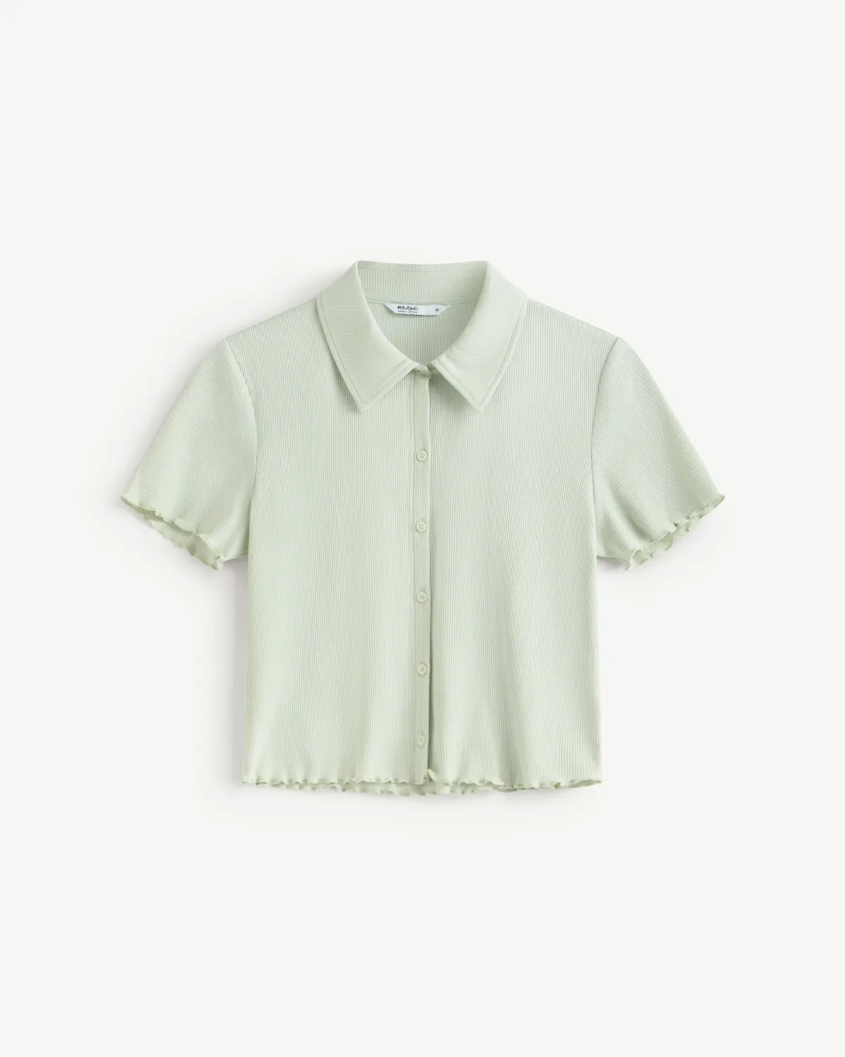 10F25POLW001_Green Lily (1).jpg