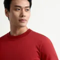 10F24TSS002R1_Red Dahlia (5).jpg