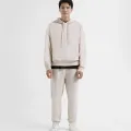 10F24HODU001_PUMICE STONE_ao-hoodie-nam (12).jpg