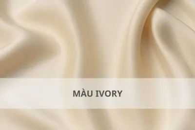 màu ivory phối gì