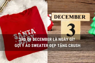 3rd of december là ngày gì