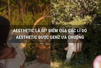 aethetic là gì