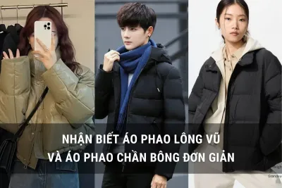áo phao lông vũ và áo phao chần bông