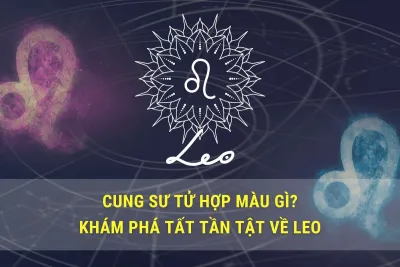 cung sư tử hợp màu gì