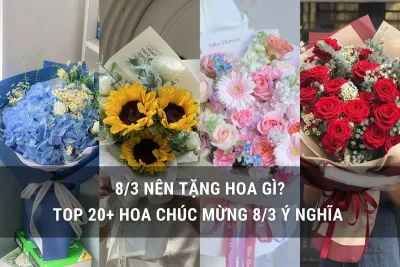 hoa chúc mừng 8/3