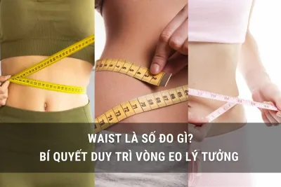 waist là số đo gì