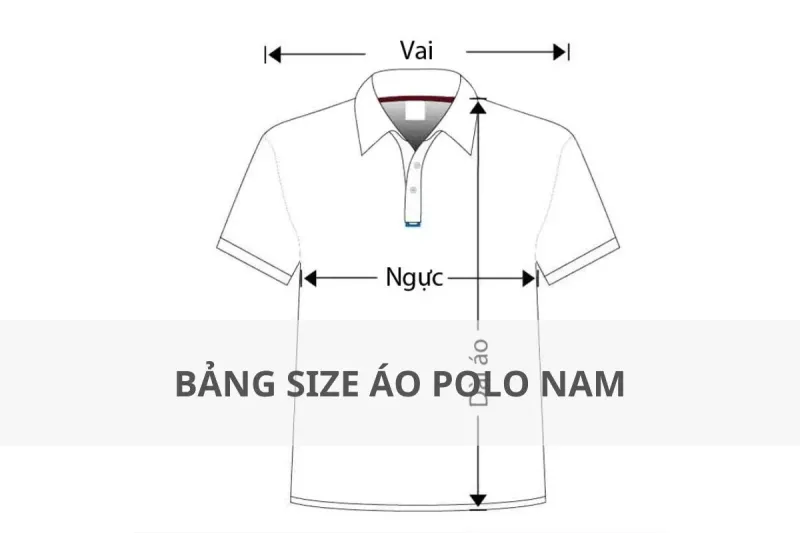 bảng size áo polo nam