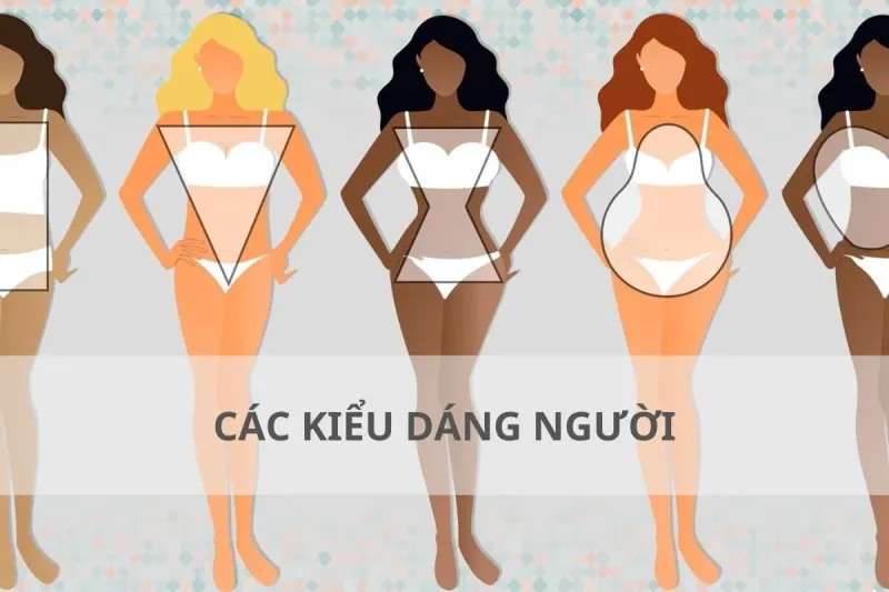 các kiểu dáng người