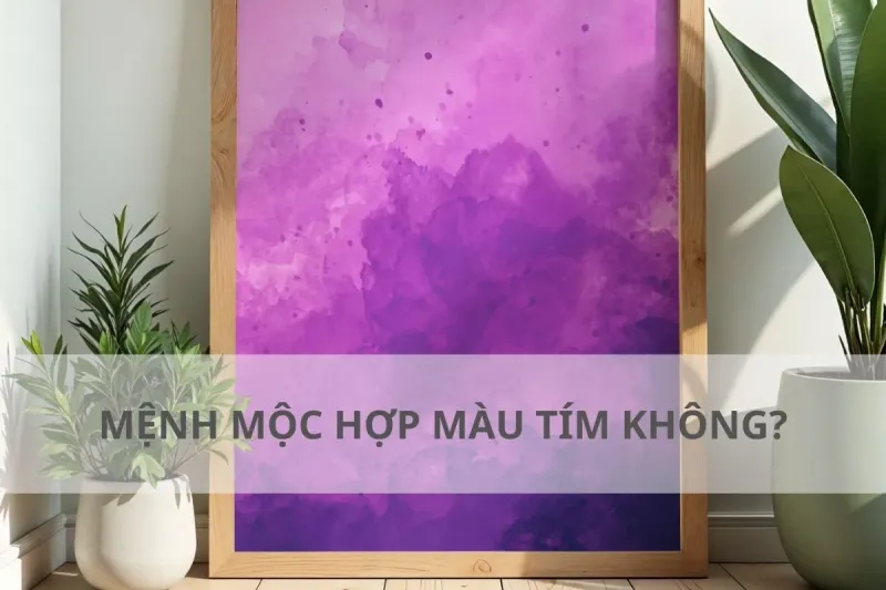 mệnh mộc hợp màu tím không