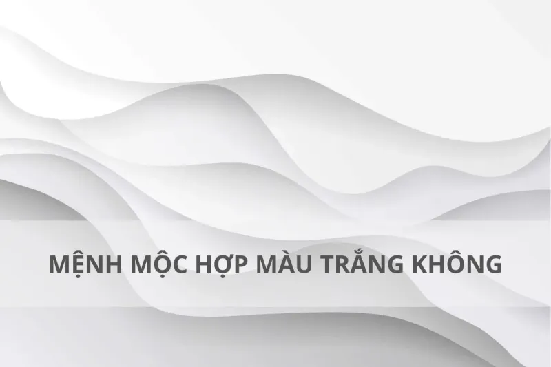 mệnh mộc hợp màu trắng không