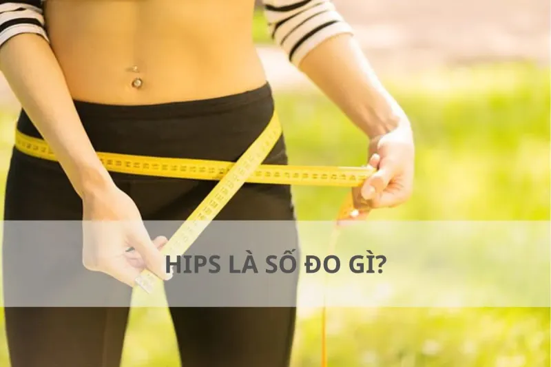 cách đo số đo hips