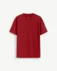 10F25TSS021 - RED DAHLIA (1).jpg