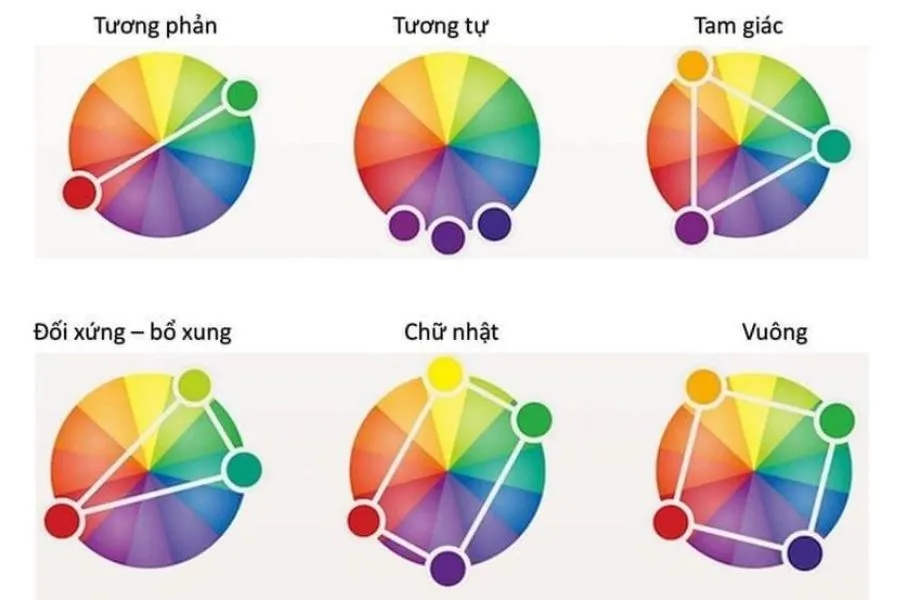 bảng phối màu quần áo được sử dụng nhiều nhất