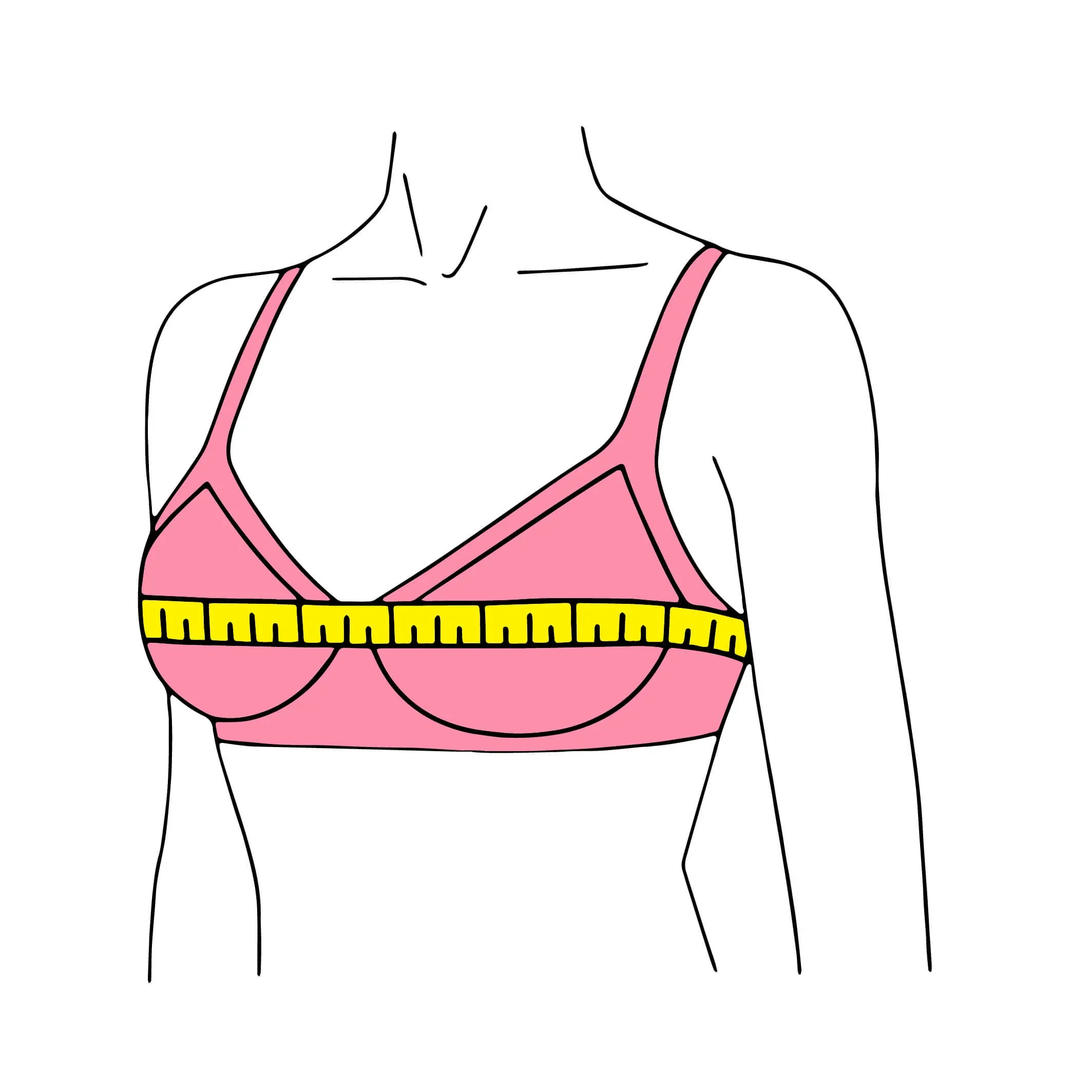 Bust là số đo vòng ngực